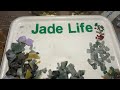 fake jade ❌ ဗဟုသုတအနေဖြင့်သာ crd.jadelife