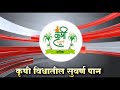 10 एकर क्षेत्रावर टोमॅटो शेतीची यशोगाथा उमळवाड मधील प्रगतशील शेतकरी स्वप्नील मगदूम यांचा प्रयोग