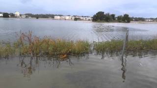 King Tide Cherry Grove Beach. Here we go again