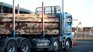 Clarence Valley logging industry ‘raging against’ NSW council’s plans to phase it out