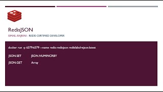 RedisJSON