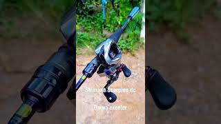 Shimano Scorpion dc + Daiwa exceler #shimano #daiwa #scorpion #scorpiondc #fishing #shorts