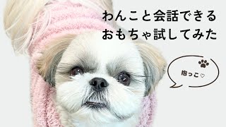 【わんこと会話】夢のようなあの道具をシーズーと試してみたDogs and people can talk with using new toys shihtzu enjoy it