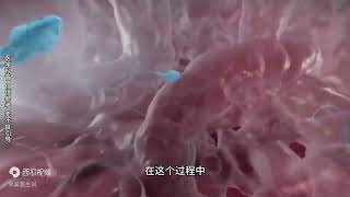 生命诞生纪元:精子和卵子结合的过程，场面太壮观了！