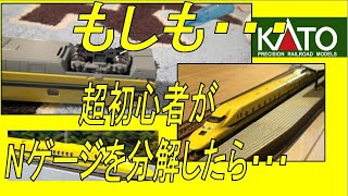 【Nゲージ】KATO製ﾄﾞｸﾀｰｲｴﾛｰのﾓｰﾀｰ異音ﾒﾝﾃﾅﾝｽ（超初心者向け）