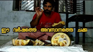 നല്ല  വരിക്ക  ചക്ക | Jackfruit cutting | jackfruit