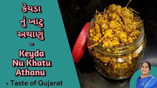 કેરડા નું અથાણું - Pickle Recipe - Taste of Gujarat