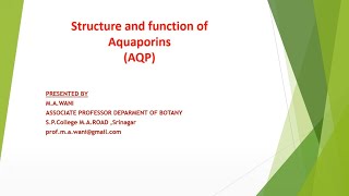 Structure and functions of aquaporin AQP