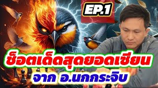 🔥รวมช็อตเด็ดสุดยอดเซียน EP.1🔥 | ☆ตอน โคนวิหคสายฟ้า\u0026วิชาม้าลอยฟ้า☆ | จากอาจารย์สุดยอดเซียนนกกระจิบ