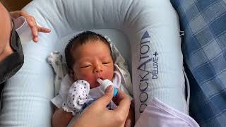 Yaya feeds baby Theo milk using a dropper