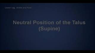 Neutral position of the Talus Supine