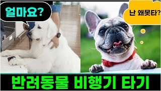 반려견 항공운임, 주의사항, 절차 (ft. 대한항공 스카이펫)