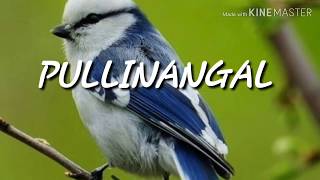 Pullinangal_full video song/2.0/A.R Rahman/Akshay kumar