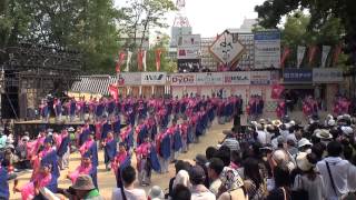 京町・新京橋ゑびすしばてん連　第60回よさこい祭り　全国大会　高知城会場　2013年8月12日