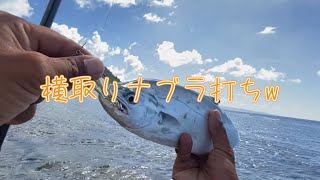 『1日1魚チャンネル』ナブラを横取りするヤツw#沖縄ルアー釣り #沖縄ライトゲーム #沖縄釣り #沖縄