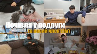 🇰🇷алко-вечір у подруги та як ми взяли Соду🐶