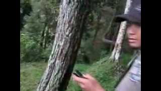 MVI 2458 AVI