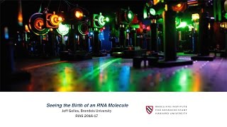 Jeff Gelles | Seeing the Birth of an RNA Molecule || Radcliffe Institute