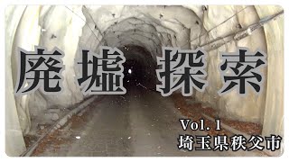 【廃墟探訪】秩父 ニッチツ鉱山〜猫を探して〜