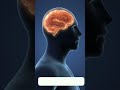 Social Isolation Changes Your Brain