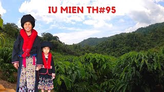 Iu Mien Thailand EP95 | Go to the Iu Mien coffee farm