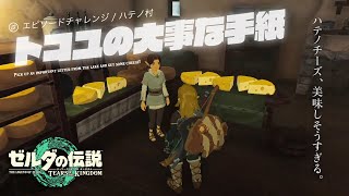 『トコユの大事な手紙』エピソードチャレンジでハテノチーズを入手【ゼルダの伝説 ティアーズ オブ ザ キングダム】