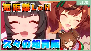 【ウマ娘】因子欲しいので畑耕します【初見・初心者大歓迎！】