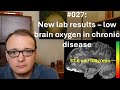 027 - New lab results - low brain oxygen in chronic disease