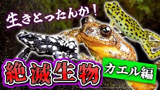 【ゆっくり解説】実は生存していた絶滅生物【カエル編】