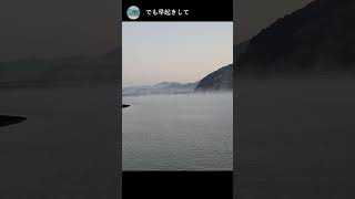 【幻想】朝一番の海で見れる風景　＃Shorts