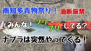 【南知多青物祭り】知多半島堤防ブリを狙って！油断して離れたら、ナブラナブラ大興奮！