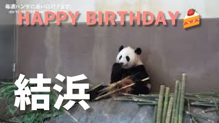 HAPPY BIRTHDAY🍰結浜【たった今】アドベンチャーワールド、結浜🎀【毎週パンダ2022/09/18】Panda just now,cute panda video