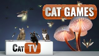 CAT TV | Fireflies in Mystical Lands | Cat TV Bug Videos For Cats to Watch | Relax my Cat 😻