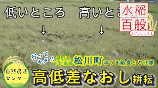 水稲百般SP 耕耘で高低差をなおせ!! 新規圃場あるある　at有機の米作り　【水稲百般 by 自然農法センター】