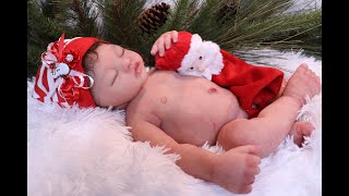 sugar britches nursery silicone babies