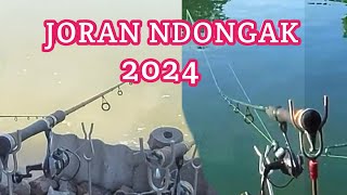 Kumpulan Joran Ndongak 2024 by Pokoke Amis