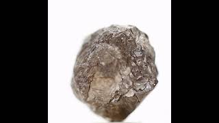 7.54 Carat Natural Diamond Crystal Brown Raw Rough Uncut Natural Loose Diamond