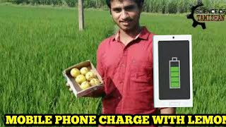 HOW TO MOBILE CHARGER MAKE WITH LEMONS. எலுமிச்சம்பழத்தில்  மொபைல் சார்ஜ் செய்வது எப்படி