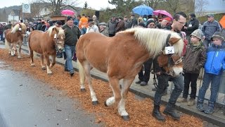 Der 96. Pferdemarkt in Creglingen  - by Fränkische Nachrichten