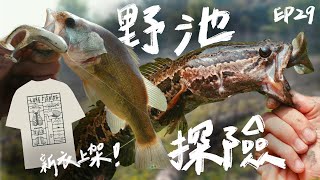 【庫斯比】第29集 《野池探險1》新衣上架！ 漂亮野場還需有夢幻魚種才稱得上夢幻野場！越障礙的地方魚越愛❤️