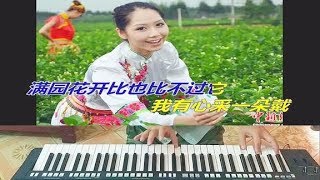 经典民歌《茉莉花》DJ版——躺温馨电子琴演奏