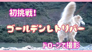 🐶愛犬を撮影した〜い❤️超初心者‼️ドローン挑戦初日‼️【ゴールデンレトリバー】結果は・・・泣。