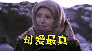 真实故事改编！她养育了19个孩子，展开羽翼撑起了他们的天空。