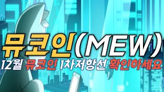 mew코인!! 캣인어독스월드 12월 대응전략!! 이렇게 흘러갑니다~!