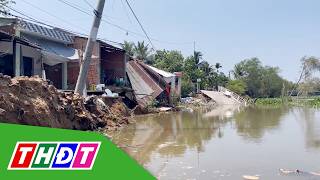 Đồng Tháp: Sạt lở cắt đứt đường giao thông, đe dọa hơn 500 ha sầu riêng | THDT