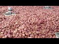 onion storage प्याज भंडारण प्याज स्टोरेज कम लागत में प्याज स्टोर करने का तरीका pyaj bhandaran