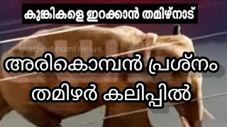 അരികൊമ്പനെ തിരിച്ചു ചിന്നക്കനാലിൽ വിടണം എന്ന ആവശ്യവുമായി തമിഴ്നാട്ടുകാർ | #Arikomban