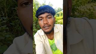 Bam lai lekhai chikate bujhoi yum inj Santail 🤣 #shorts #video #santali #rose