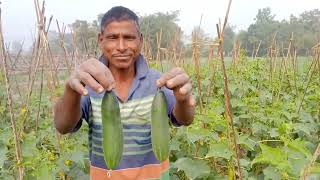 একটি কৃষক কিভাবে এত পরিশ্রম করে আপনার দেখলে বুঝতে পারবেন@natunbian4371