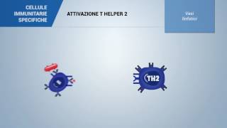 Attivazione Thelper 2